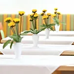 Sonnenhof Hotel Timelkam